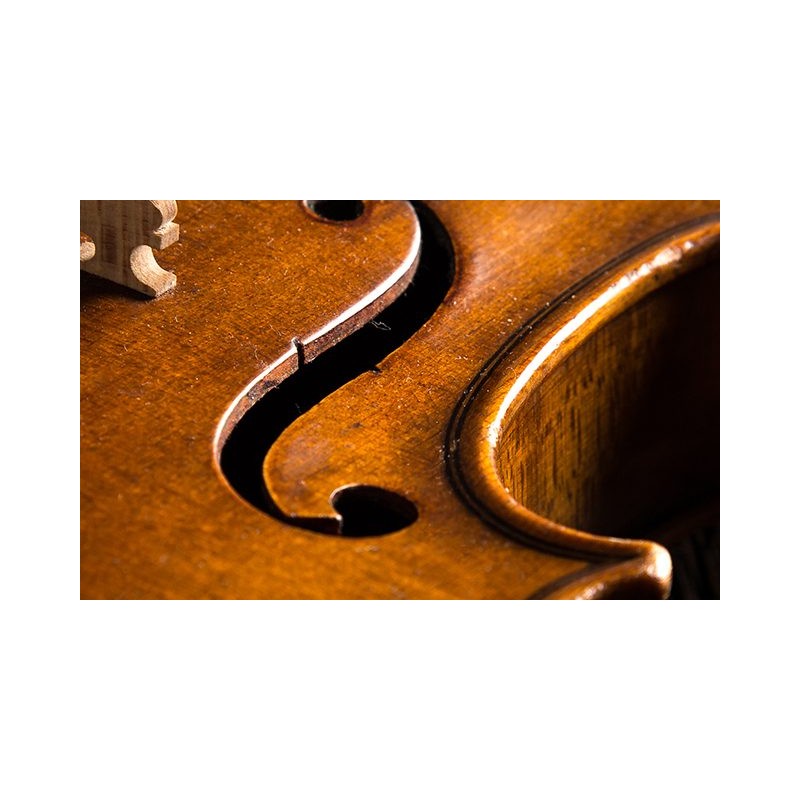Borma Wachs Tung Oil Αγνό Φυτικό Λάδι Άχρωμο ΜΑΤ