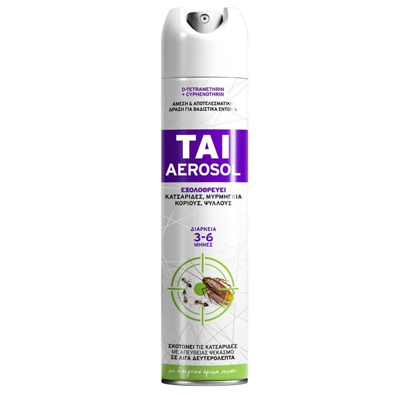 Stac Aerosol Tai Εντομοκτόνο300ml