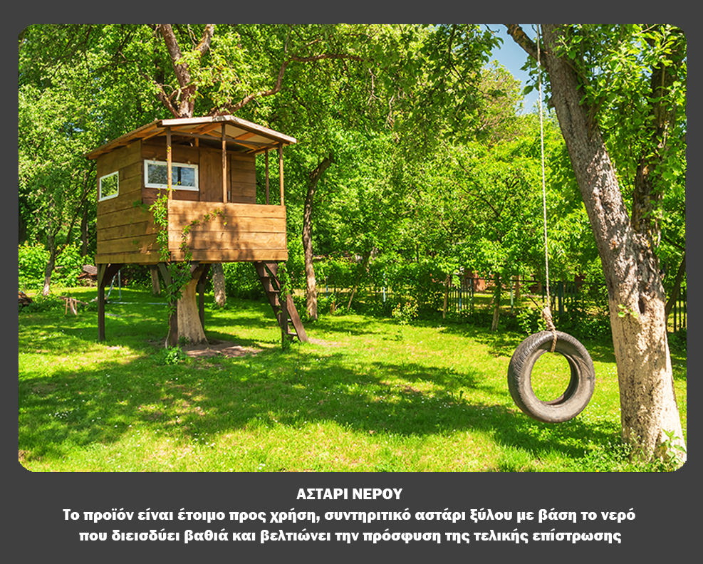 Borma Wachs Naturaqua Holz Lasur Shield Protector NF01A Συντηρητικό Ξύλου Νερού για Μύκητες
