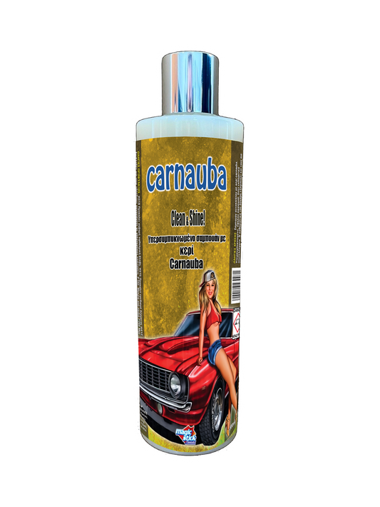 Magic Stick Υπερσυμπυκνωμένο Σαμπουάν με Κερί Carnauba Wax 500ml
