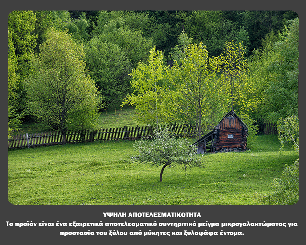 Borma Wachs Naturaqua Holz Lasur Shield Protector NF01A Συντηρητικό Ξύλου Νερού για Μύκητες
